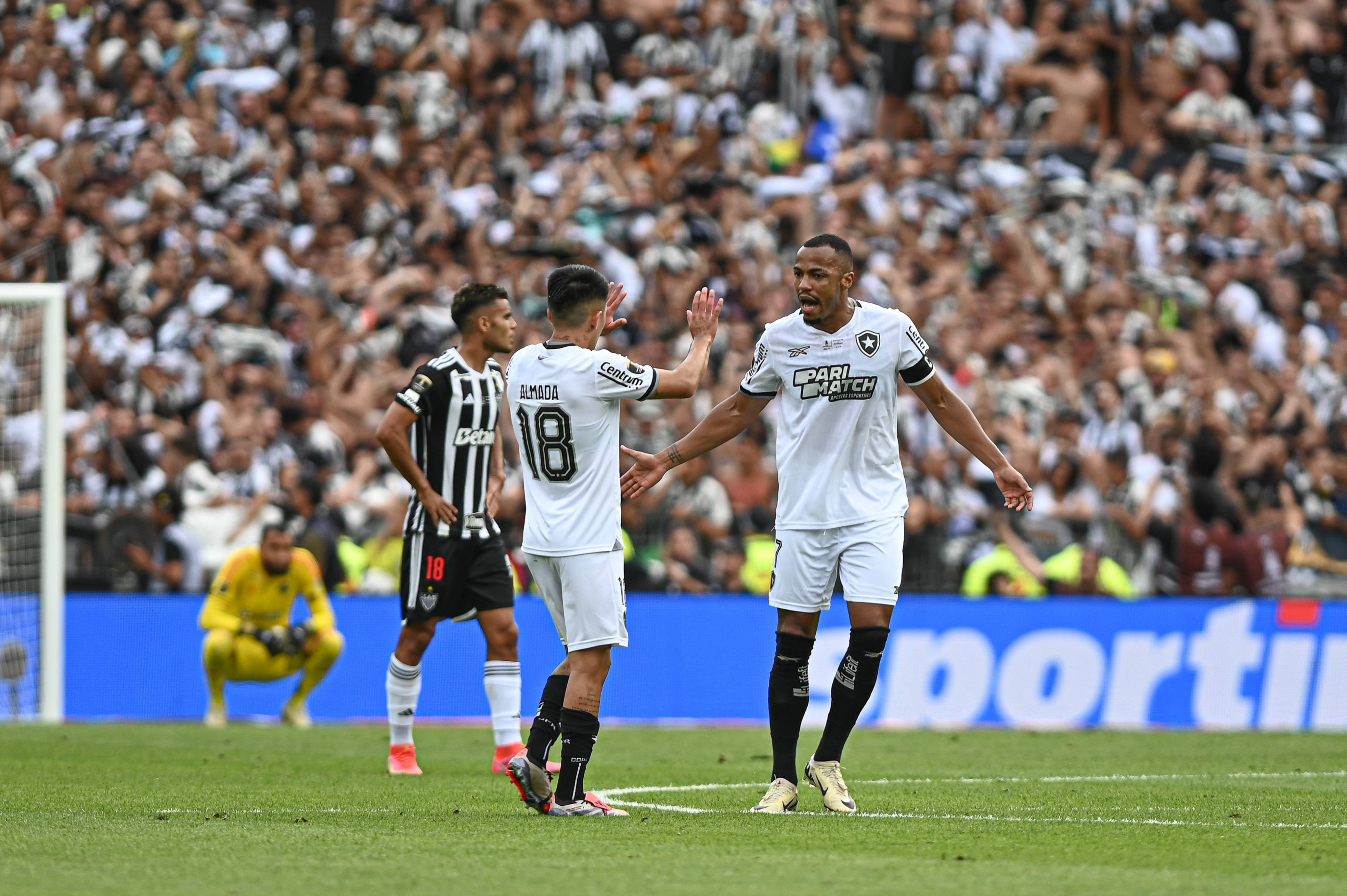 Palmeiras-Botafogo RJ maçı resim