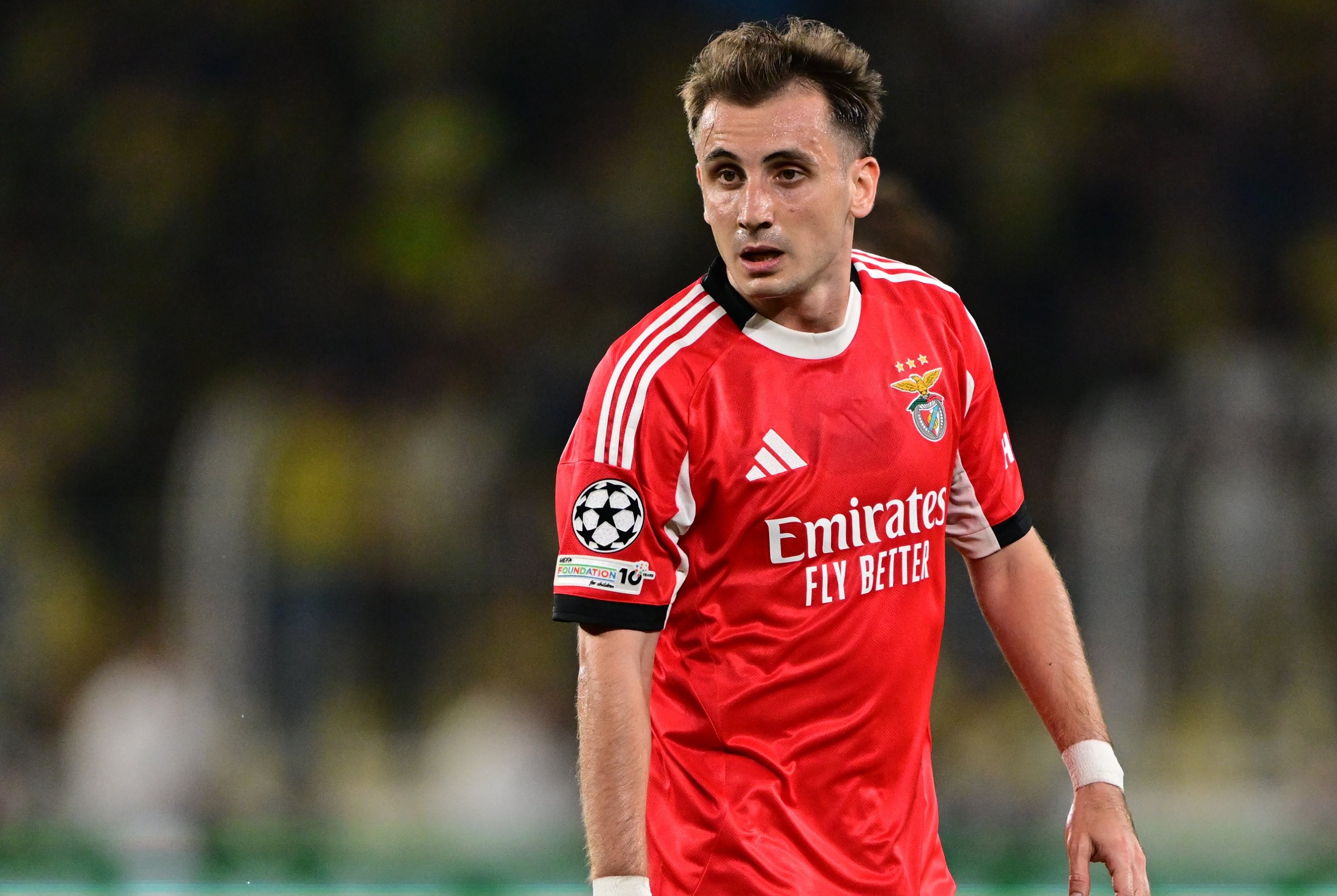 Benfica-Tondela ma resim